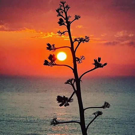 Pensión Arthouse Surf *