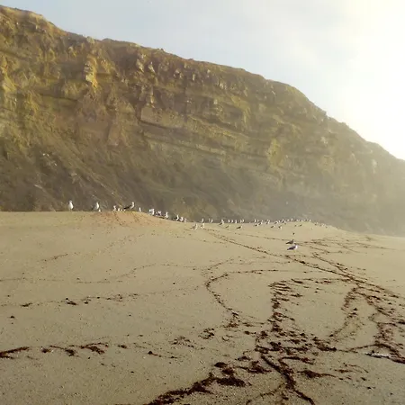 Maison d'hôtes Arthouse Surf *