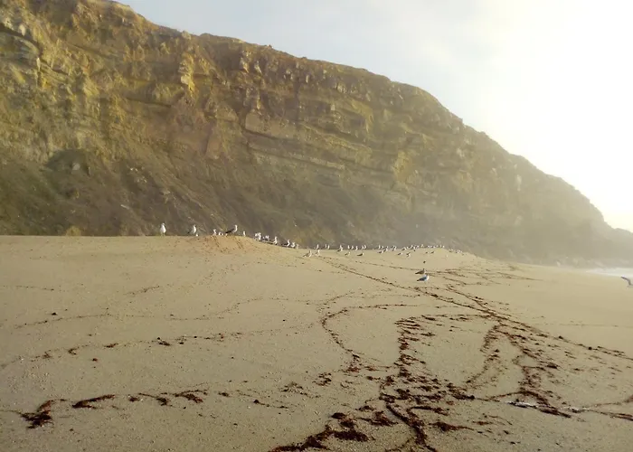 Penzion Arthouse Surf *